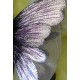 Μεταλλικό, χειροποίητο, επίτοιχο στεφάνι "λουλούδι-πεταλούδα"
