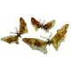 Πεταλούδες από φυσητό γυαλί, σετ 3τεμ.